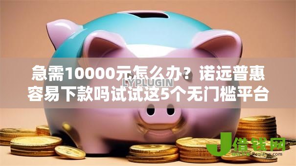 急需10000元怎么办？诺远普惠容易下款吗试试这5个无门槛平台