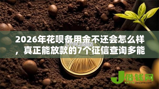 2026年花呗备用金不还会怎么样，真正能放款的7个征信查询多能下款的平台推荐