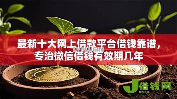 最新十大网上借款平台借钱靠谱，专治微信借钱有效期几年