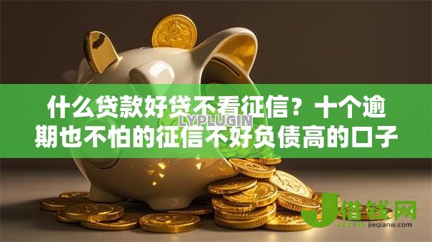 什么贷款好贷不看征信?十个逾期也不怕的征信不好负债高的口子 什么贷款好贷不看征信?十个逾期也不怕的征信不好负债高的口子