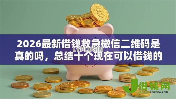 2026最新借钱救急微信二维码是真的吗,总结十个现在可以借钱的平台! 2026最新借钱救急微信二维码是真的吗,总结十个现在可以借钱的平台!