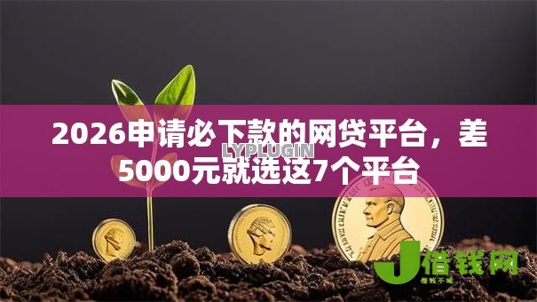 2026申请必下款的网贷平台，差5000元就选这7个平台