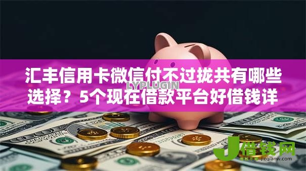 汇丰信用卡微信付不过拢共有哪些选择?5个现在借款平台好借钱详解 汇丰信用卡微信付不过拢共有哪些选择?5个现在借款平台好借钱详解