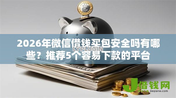 2026年微信借钱买包安全吗有哪些？推荐5个容易下款的平台