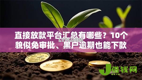 直接放款平台汇总有哪些?10个貌似免审批、黑户逾期也能下款的网贷合集 直接放款平台汇总有哪些?10个貌似免审批、黑户逾期也能下款的网贷合集