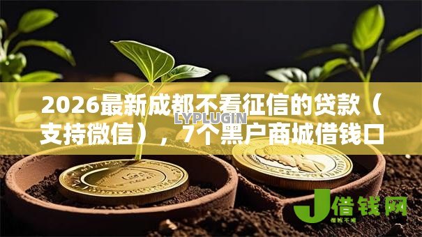 2026最新成都不看征信的贷款（支持微信），7个黑户商城借钱口子无私分享