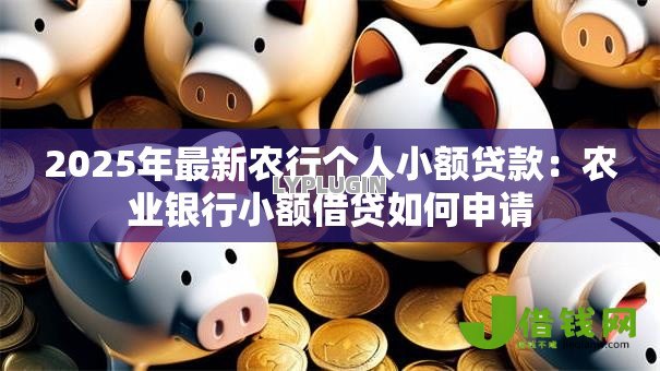 2025年最新农行个人小额贷款：农业银行小额借贷如何申请
