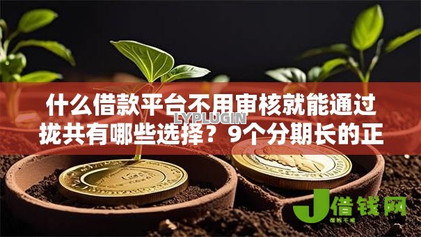 什么借款平台不用审核就能通过拢共有哪些选择?9个分期长的正规网贷平台详解 什么借款平台不用审核就能通过拢共有哪些选择?9个分期长的正规网贷平台详解