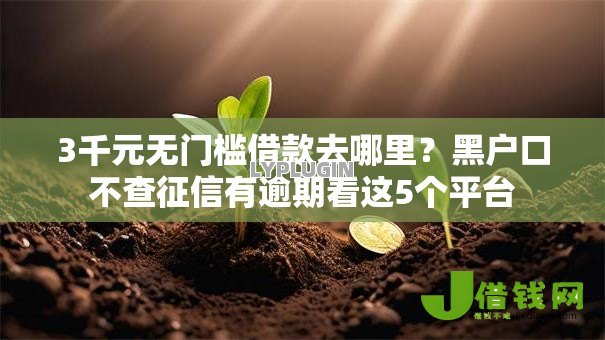 3千元无门槛借款去哪里?黑户口不查征信有逾期看这5个平台 3千元无门槛借款去哪里?黑户口不查征信有逾期看这5个平台