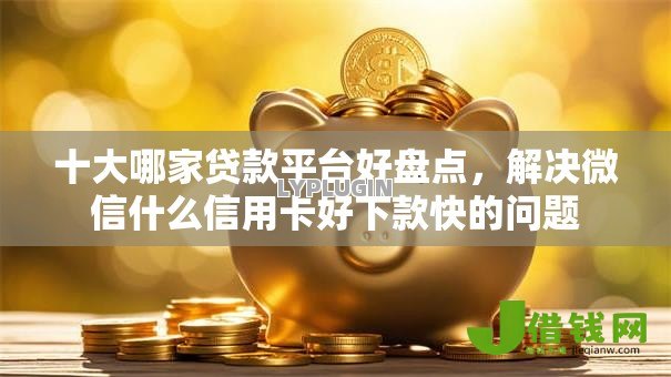 十大哪家贷款平台好盘点，解决微信什么信用卡好下款快的问题