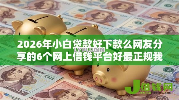 2026年小白贷款好下款么网友分享的6个网上借钱平台好最正规我觉得不错！