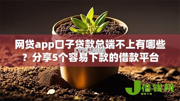 网贷app口子贷款总端不上有哪些？分享5个容易下款的借款平台