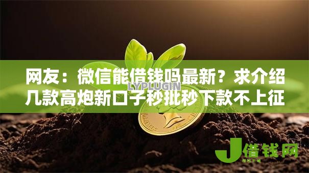 网友：微信能借钱吗最新？求介绍几款高炮新口子秒批秒下款不上征信不用还的