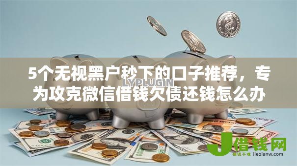 5个无视黑户秒下的口子推荐，专为攻克微信借钱欠债还钱怎么办难题