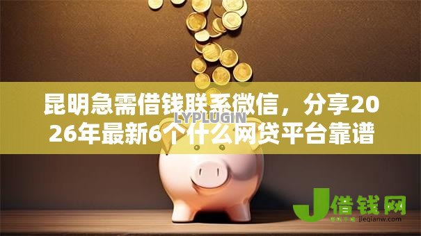 昆明急需借钱联系微信，分享2026年最新6个什么网贷平台靠谱