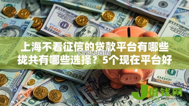 上海不看征信的贷款平台有哪些拢共有哪些选择?5个现在平台好借钱详解 上海不看征信的贷款平台有哪些拢共有哪些选择?5个现在平台好借钱详解