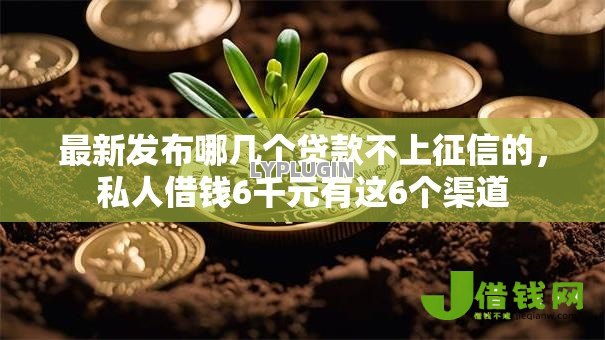 最新发布哪几个贷款不上征信的，私人借钱6千元有这6个渠道