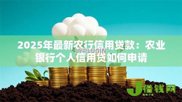 2025年最新农行信用贷款：农业银行个人信用贷如何申请