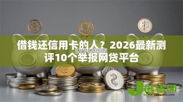 借钱还信用卡的人？2026最新测评10个举报网贷平台