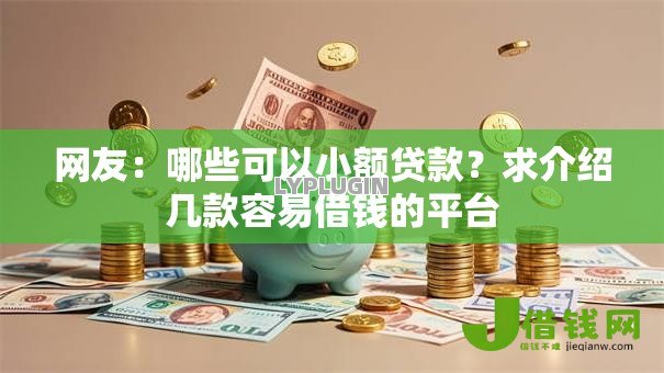 网友：哪些可以小额贷款？求介绍几款容易借钱的平台