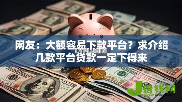 网友：大额容易下款平台？求介绍几款平台贷款一定下得来