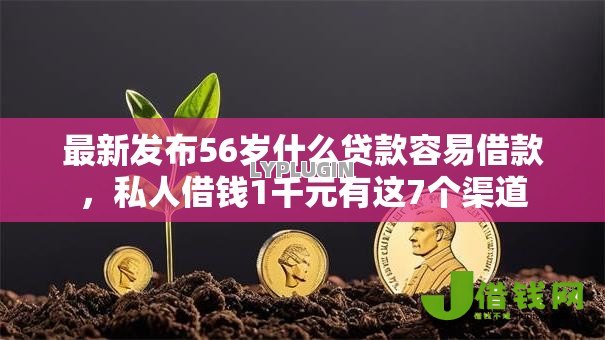 最新发布56岁什么贷款容易借款，私人借钱1千元有这7个渠道