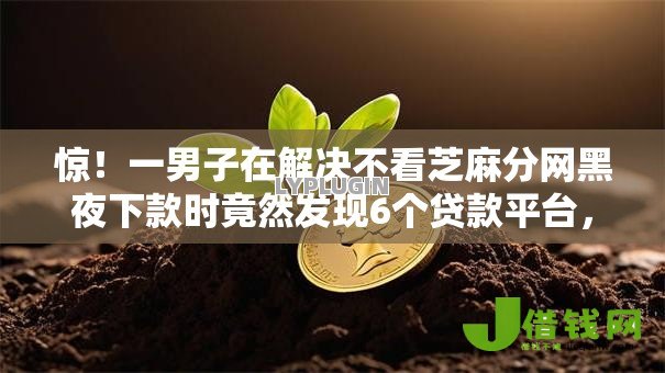 惊！一男子在解决不看芝麻分网黑夜下款时竟然发现6个贷款平台，事后分享了出来
