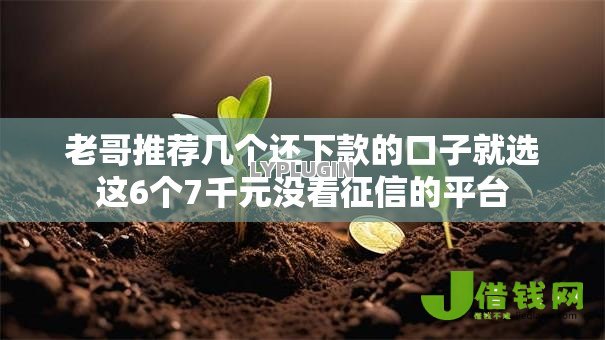 老哥推荐几个还下款的口子就选这6个7千元没看征信的平台
