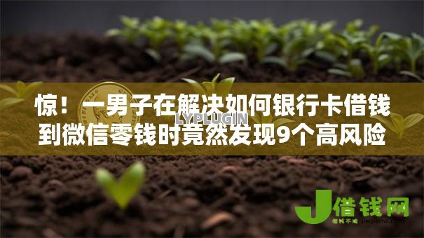 惊!一男子在解决如何银行卡借钱到微信零钱时竟然发现9个高风险下款口子,事后分享了出来 惊!一男子在解决如何银行卡借钱到微信零钱时竟然发现9个高风险下款口子,事后分享了出来