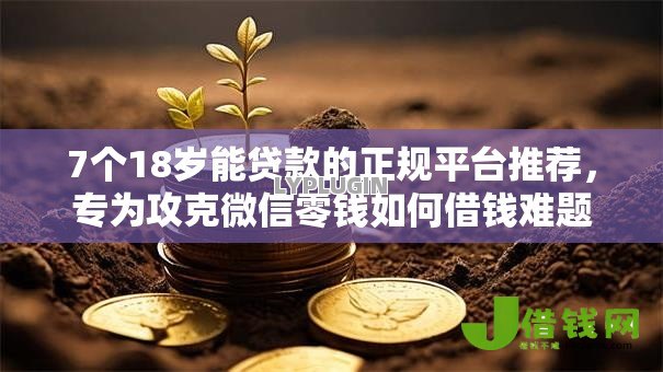 7个18岁能贷款的正规平台推荐，专为攻克微信零钱如何借钱难题