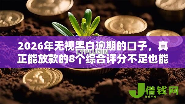 2026年无视黑白逾期的口子,真正能放款的8个综合评分不足也能放款的平台推荐 2026年无视黑白逾期的口子,真正能放款的8个综合评分不足也能放款的平台推荐