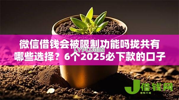 微信借钱会被限制功能吗拢共有哪些选择?6个2025必下款的口子详解 微信借钱会被限制功能吗拢共有哪些选择?6个2025必下款的口子详解
