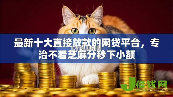 最新十大直接放款的网贷平台，专治不看芝麻分秒下小额