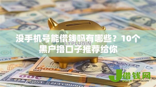 没手机号能借钱吗有哪些？10个黑户撸口子推荐给你