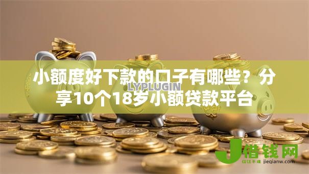 小额度好下款的口子有哪些？分享10个18岁小额贷款平台