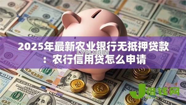 2025年最新农业银行无抵押贷款：农行信用贷怎么申请