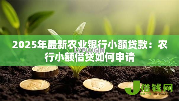 2025年最新农业银行小额贷款：农行小额借贷如何申请