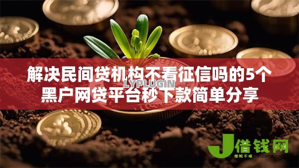 解决民间贷机构不看征信吗的5个黑户网贷平台秒下款简单分享