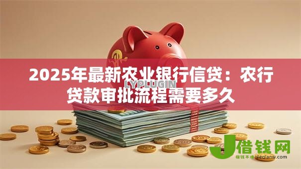 2025年最新农业银行信贷：农行贷款审批流程需要多久