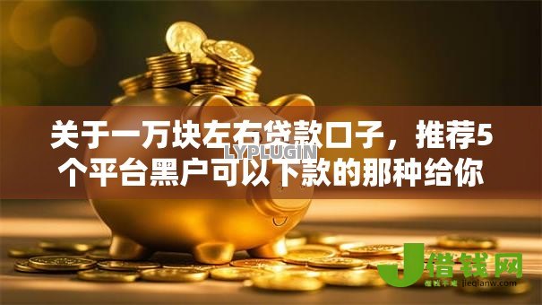 关于一万块左右贷款口子，推荐5个平台黑户可以下款的那种给你