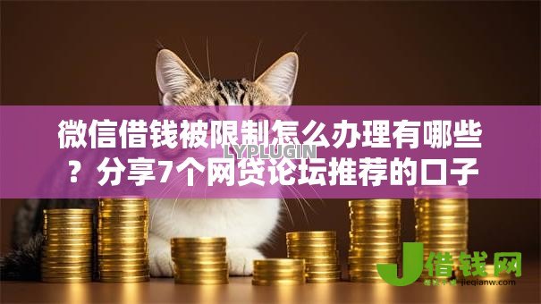 微信借钱被限制怎么办理有哪些？分享7个网贷论坛推荐的口子