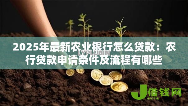 2025年最新农业银行怎么贷款：农行贷款申请条件及流程有哪些