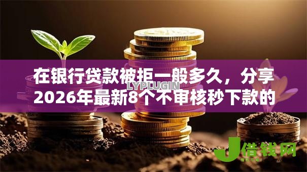 在银行贷款被拒一般多久，分享2026年最新8个不审核秒下款的小额贷款网贷