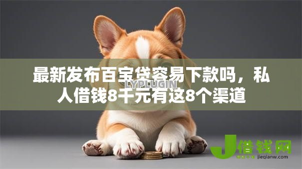 最新发布百宝贷容易下款吗，私人借钱8千元有这8个渠道