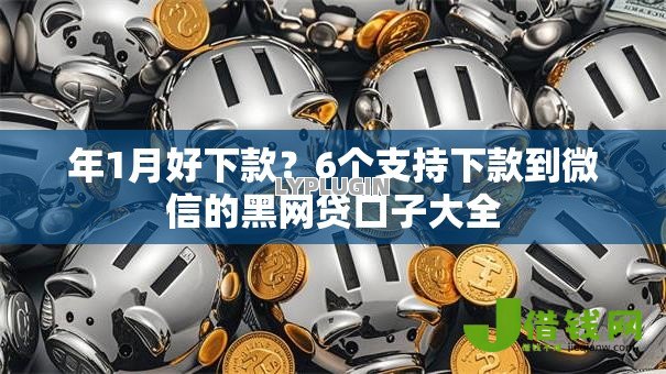 年1月好下款？6个支持下款到微信的黑网贷口子大全