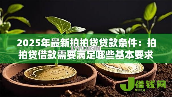 2025年最新拍拍贷贷款条件：拍拍贷借款需要满足哪些基本要求