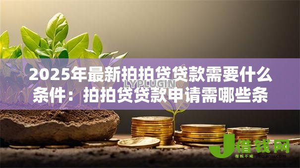 2025年最新拍拍贷贷款需要什么条件:拍拍贷贷款申请需哪些条件 2025年最新拍拍贷贷款需要什么条件:拍拍贷贷款申请需哪些条件