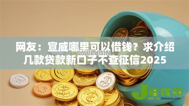 网友:宣威哪里可以借钱?求介绍几款贷款新口子不查征信2025 网友:宣威哪里可以借钱?求介绍几款贷款新口子不查征信2025