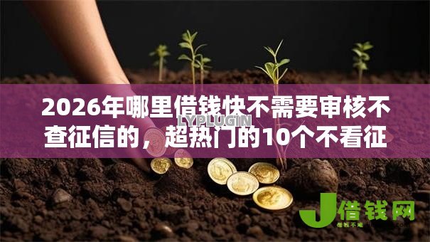 2026年哪里借钱快不需要审核不查征信的，超热门的10个不看征信的借款平台百分百推荐