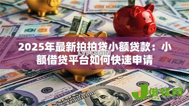 2025年最新拍拍贷小额贷款：小额借贷平台如何快速申请